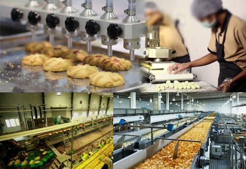 Food Processing